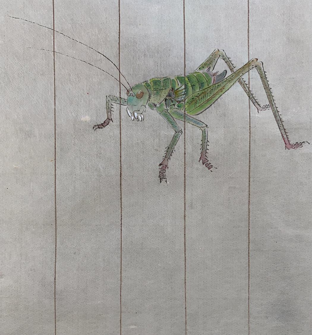 夏哈哈|夏雨:和女儿在家PK画蚂蚱,爷俩画工了得袁泉自动退出只好当裁判