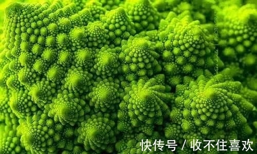 植物|神“造”般的植物奇景,仿佛画作精品,小编已深深着迷!