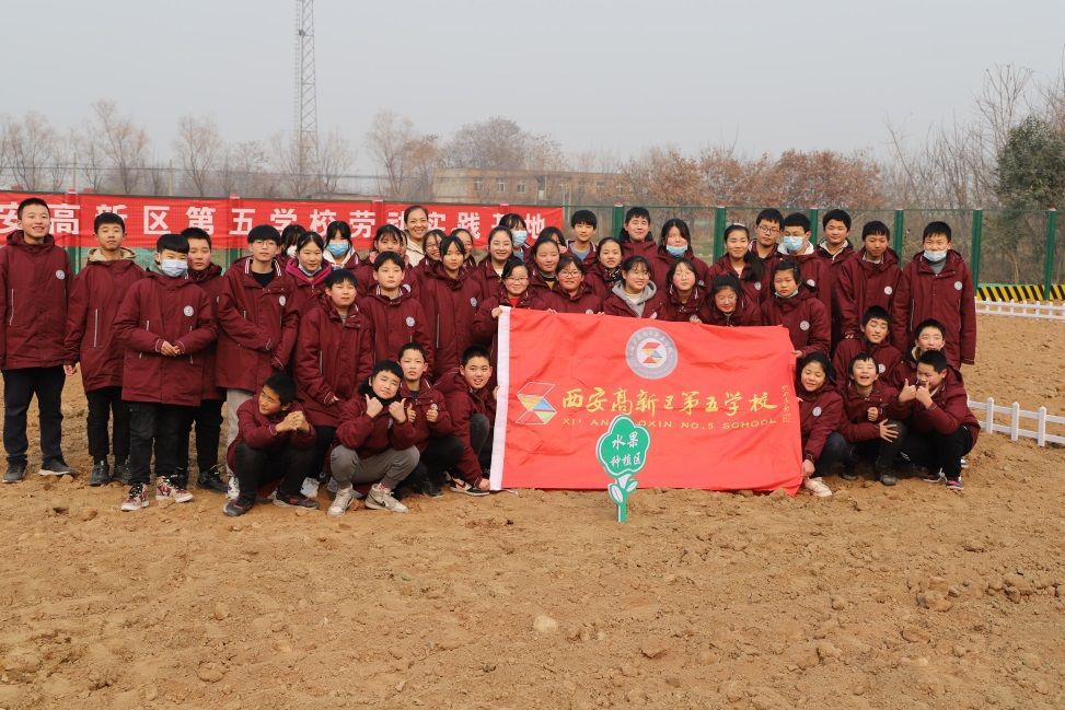 西安高新区第五学校劳动基地种菜忙