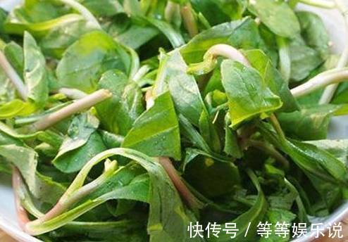 碱性食物|立秋后，咳嗽多难入眠，莫慌！常食此野菜，清热解毒、治疗咳嗽
