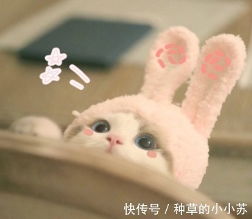 皮肤|这几款洗面奶用过一次就上瘾!第1支比400多的香奈儿还好用