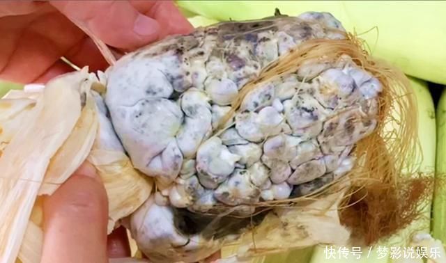 它和玉米共生,农民见了头疼,城里人却当成美食,简单一蒸,真香