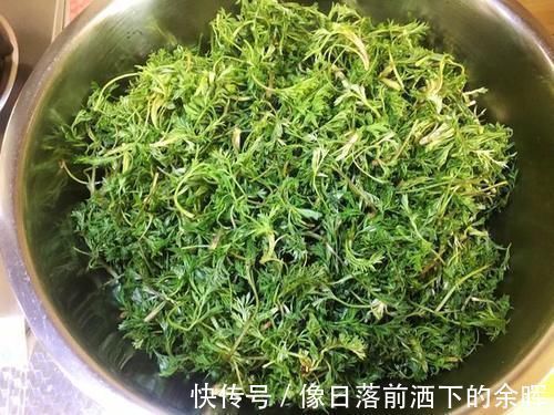 粉蒸茵陈|这菜“赛人参”,碰到别手软,好吃美味,保护肝脏,肝脏越来越健康