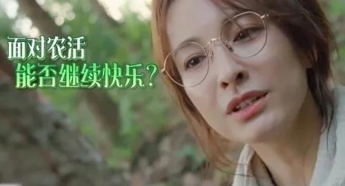 向往的生活：最嚣张一组嘉宾，嫌黄磊泡茶难喝，故意偷懒不干活，但无人敢说！