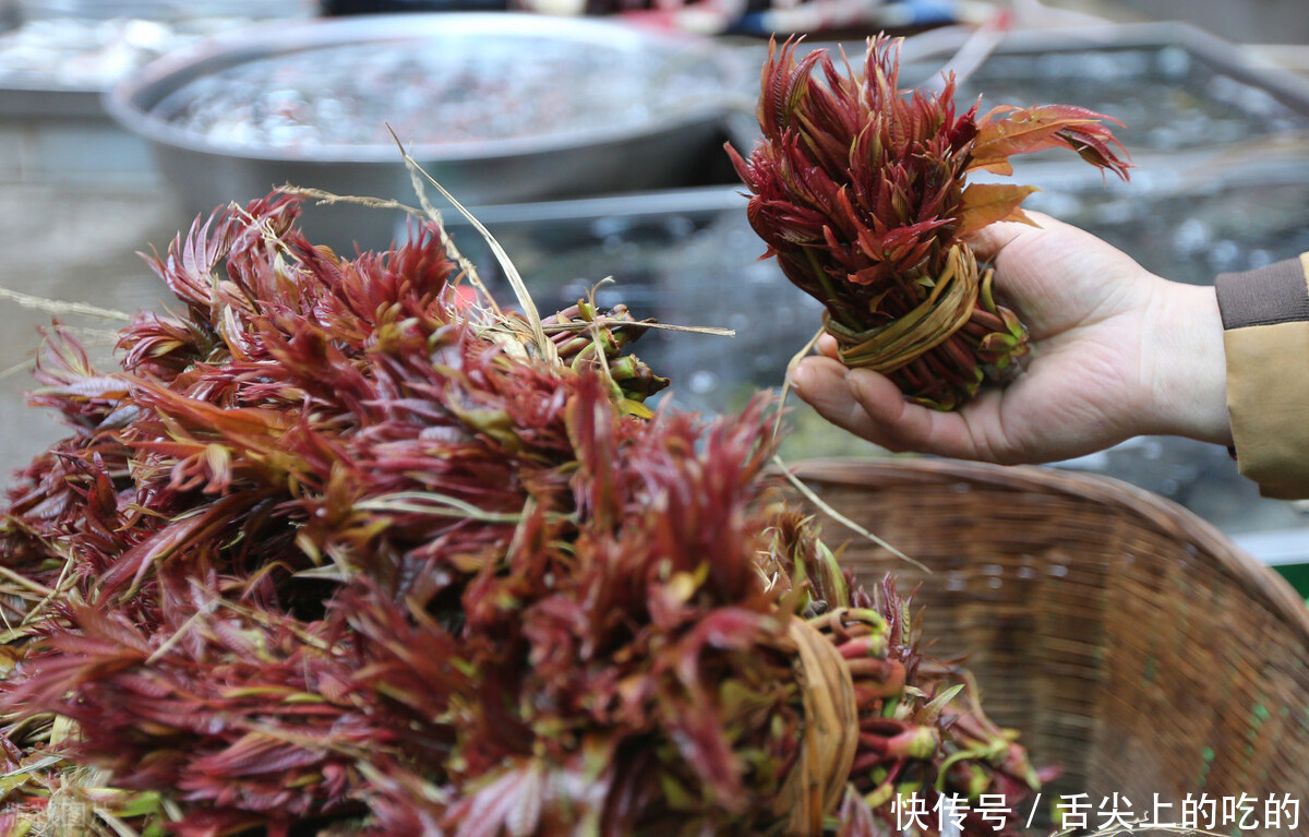 腌制香椿时，不要只会加食盐，教你正确方法，好吃入味久放不坏