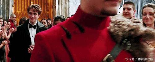 《哈利·波特》:意难平啊!那些年遗憾错过的CP们