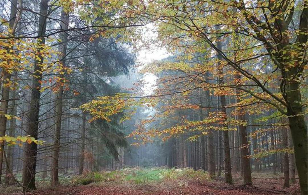 拍案叫绝|《全宋词》里最狂一首词,每一句都很狂,读来也是令人拍案叫绝