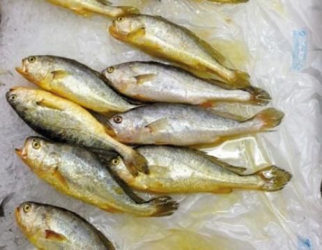 营养物质|冬天吃鱼,专挑4种鱼,应季而食营养高味道好,买的都是聪明人!