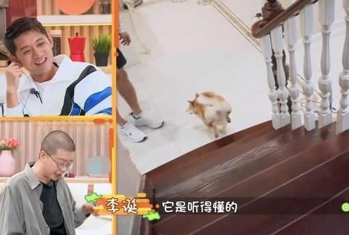 做家务的男人2|张继科家别墅接地气,拿院子养鸡种菜,家里放球桌,跟住农村一样