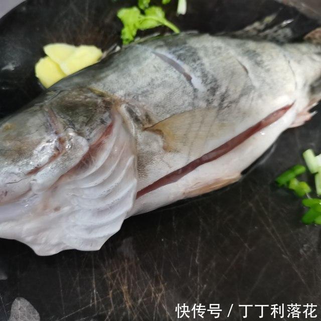 桂鱼|红烧桂鱼,鱼肉鲜嫩,十分下饭