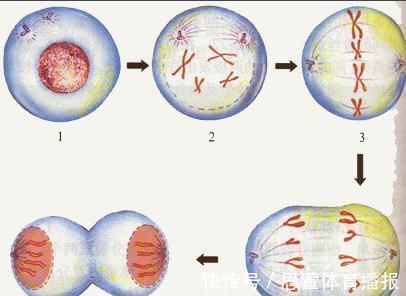 杜甫@人的寿命是多少岁?老祖宗早已算好生命周期,需要注意两个年龄段