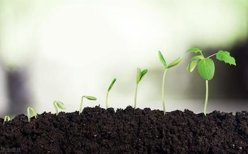 生长素|别折腾孩子了,这些关于孩子长高的谣言,你信了几个?