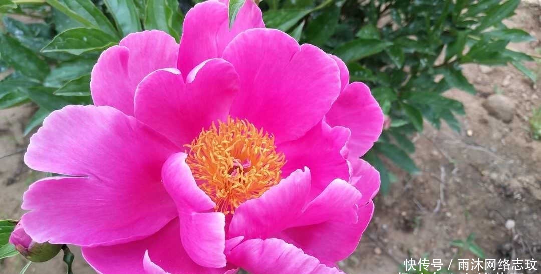 湘乡|曾国藩:不要多管闲事,有福不可享尽,有势不可使尽