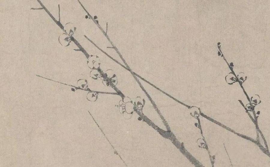 鉴赏$鉴赏|一“简”梅,极尽朴素的美