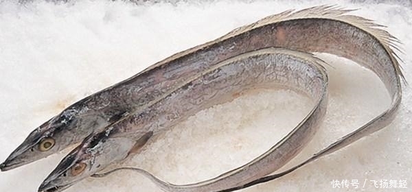 买带鱼时,聪明人遇到“这3种”扭头就走,商贩:从不让家人吃
