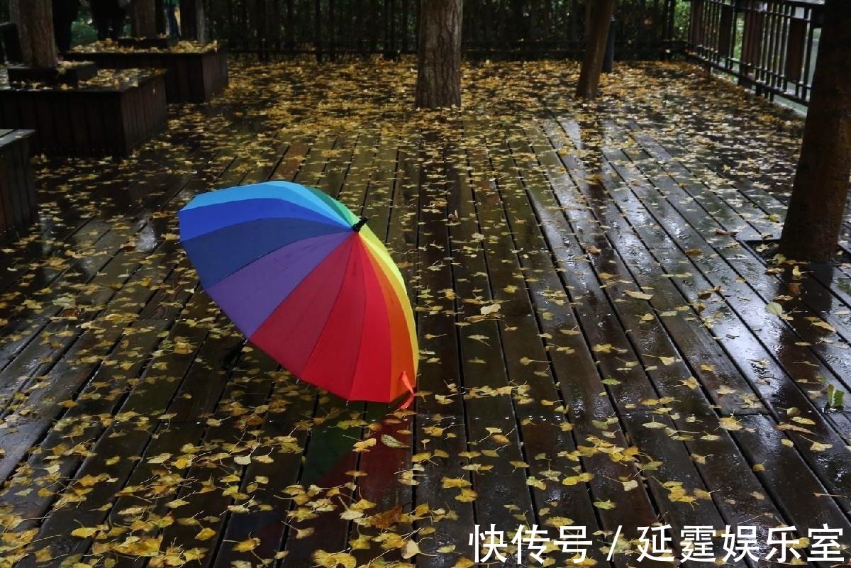 自由的人&有一句宋诗写“人生难得秋前雨”,你能读懂诗人的意思吗?