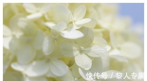 贵人|11月桃花飞，喜事追，3生肖最招贵人，最有钱，大富大贵发大财