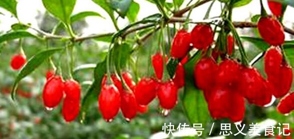 上火|枸杞是用温水泡还是开水泡?不少人泡错了,难怪喝了常上火!