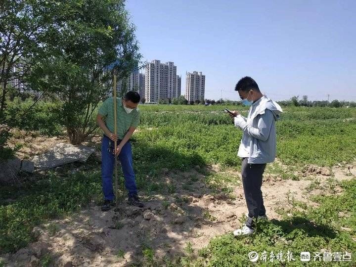 前置|确保重点项目顺利开工，济南对起步区260万平米进行考古调查