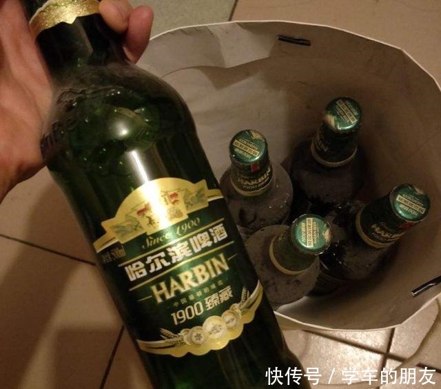 4种花爱喝啤酒,半个月给它喂1盅,越喝叶子越绿!