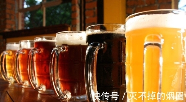 君子兰|善用酒水养叶、酵素壮根、松针松土，养君子兰才能观花赏叶