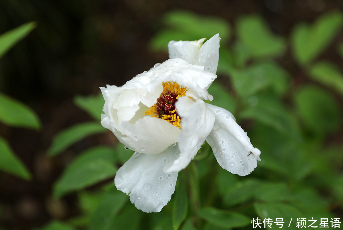 防东村|象山防东村，两部电视剧取景拍摄，可惜现在没有人