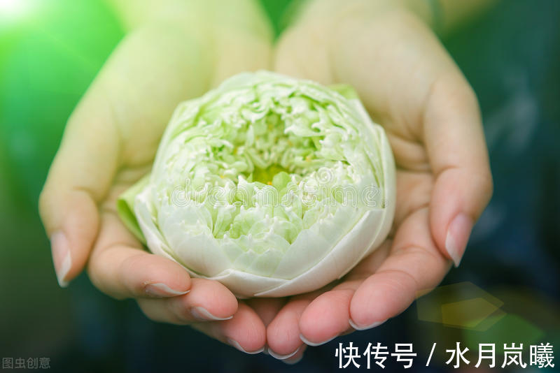 把酒问青天|宁肯媚晚凉,清风匝地随,一抹烟雨红尘事,半盏清欢岁月情