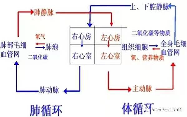 急性|急性脑梗诱因竟是“肺血管有个瘘”！