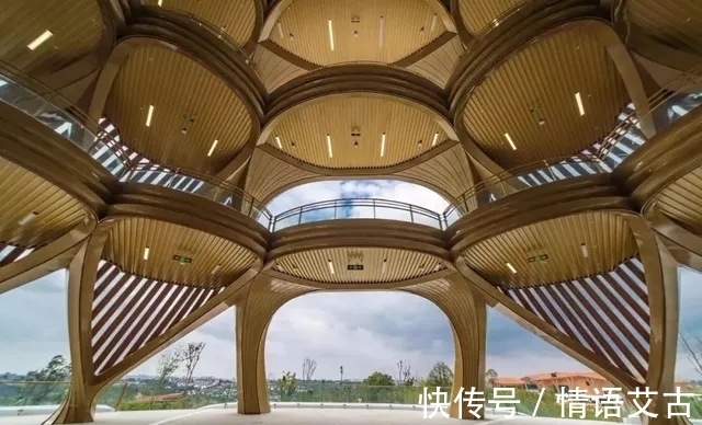 竹笋#谁最“笋”？中国四座“笋”形地标建筑