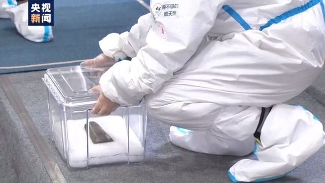 金面罩|来！一起见证三星堆新文物玉凿、铜尊等提取瞬间