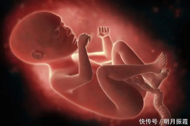 女士|怀孕期间,孕妈上厕所有讲究,牢记“三不要”对胎儿和孕妇都更好