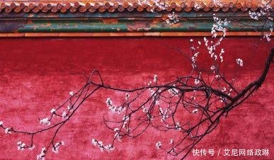 在历史上|揭秘《红楼梦》中的“元妃省亲”在历史上真的存在吗?