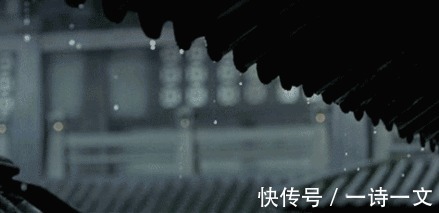 风雨|一草一木，都是人间风雨