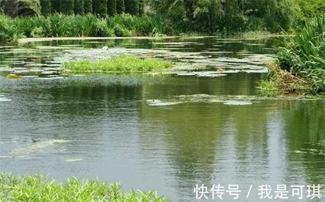 知青@马未都：过去江湖中，还是有身怀绝技之人的，我当知青时就遇见过