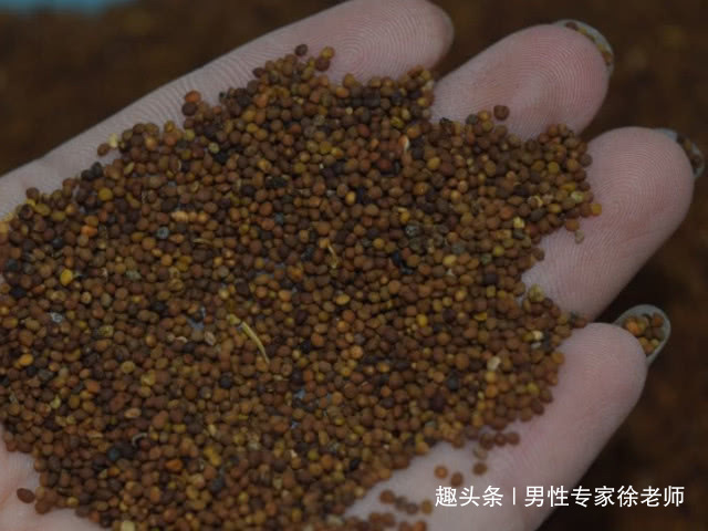 破骨细胞|3斤鹿茸不如它,男人1周6杯,或许能激活你的“雄激素”