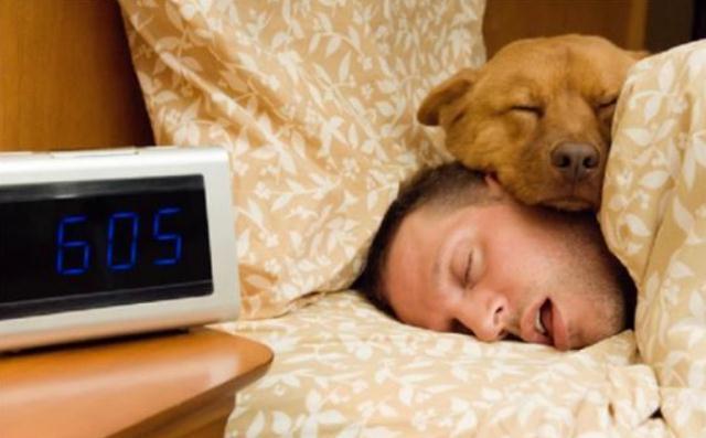 桑葚|睡不好是心火旺，入睡难是肝郁结，建议常吃这5物，或可有助睡眠