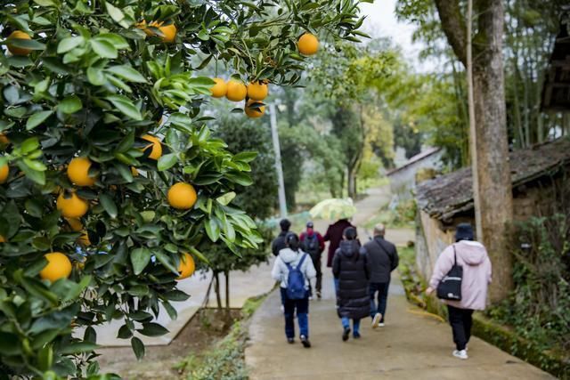 民宿|旅游新宁看崀山丹霞、采脐橙、住民宿，一篇文章助你轻松玩