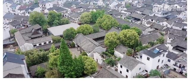 原子|起底《奇异剧本鲨》制作团队，原子娱乐你听过吗？