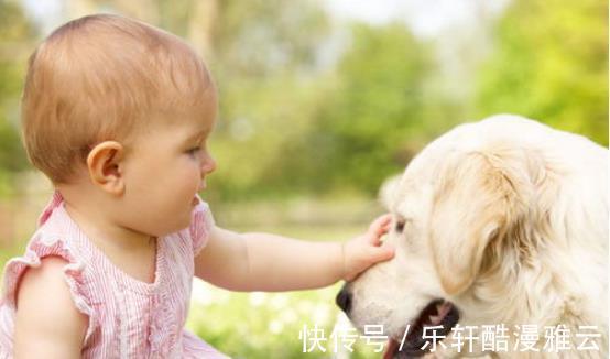 小赵|为什么你养孩子特别累那是因为踩了这些坑!