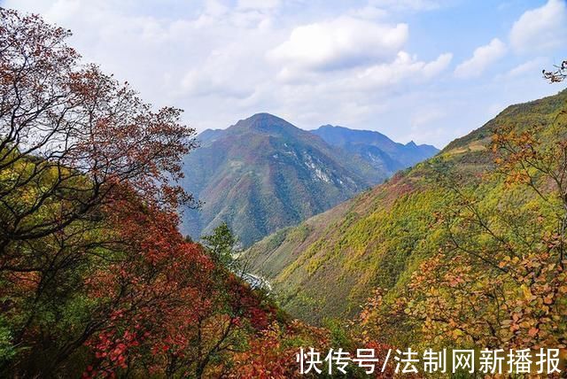 万山红遍|汉中略阳的秋天