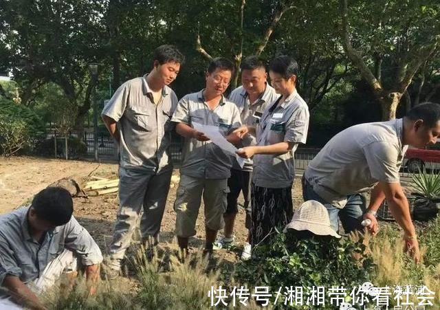 优秀!黄浦这位园艺“老法师”又获奖啦!