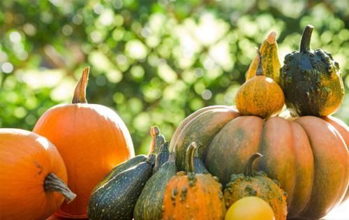 女性四月养生,多吃3种食物滋养,呵护子宫,排出毒素