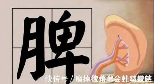 脾阴虚|脾虚不能随便补,对症健脾效果好!脾怕的5件事,大家别再做了