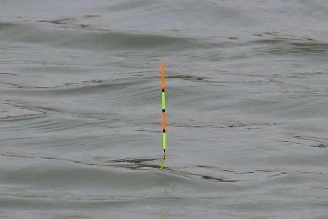 冬天鱼口弱真的不好抓,你可以试试这几招,能有效放大漂讯,提高抓口成功率