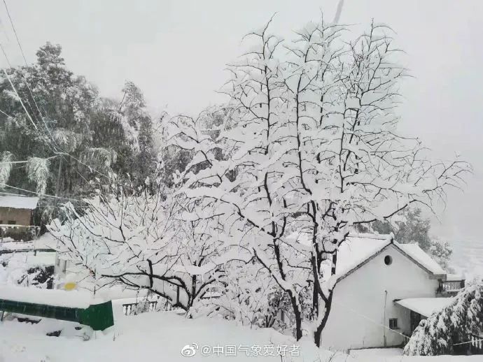 安徽|今天被南方的鹅毛大雪刷屏！“断桥残雪”美呆 有人在雪里实现“冰墩墩”自由