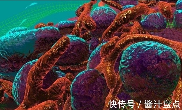 预防癌症|癌症不挑人?若你不存在这2大因素之中,或许你早已与“癌”绝缘