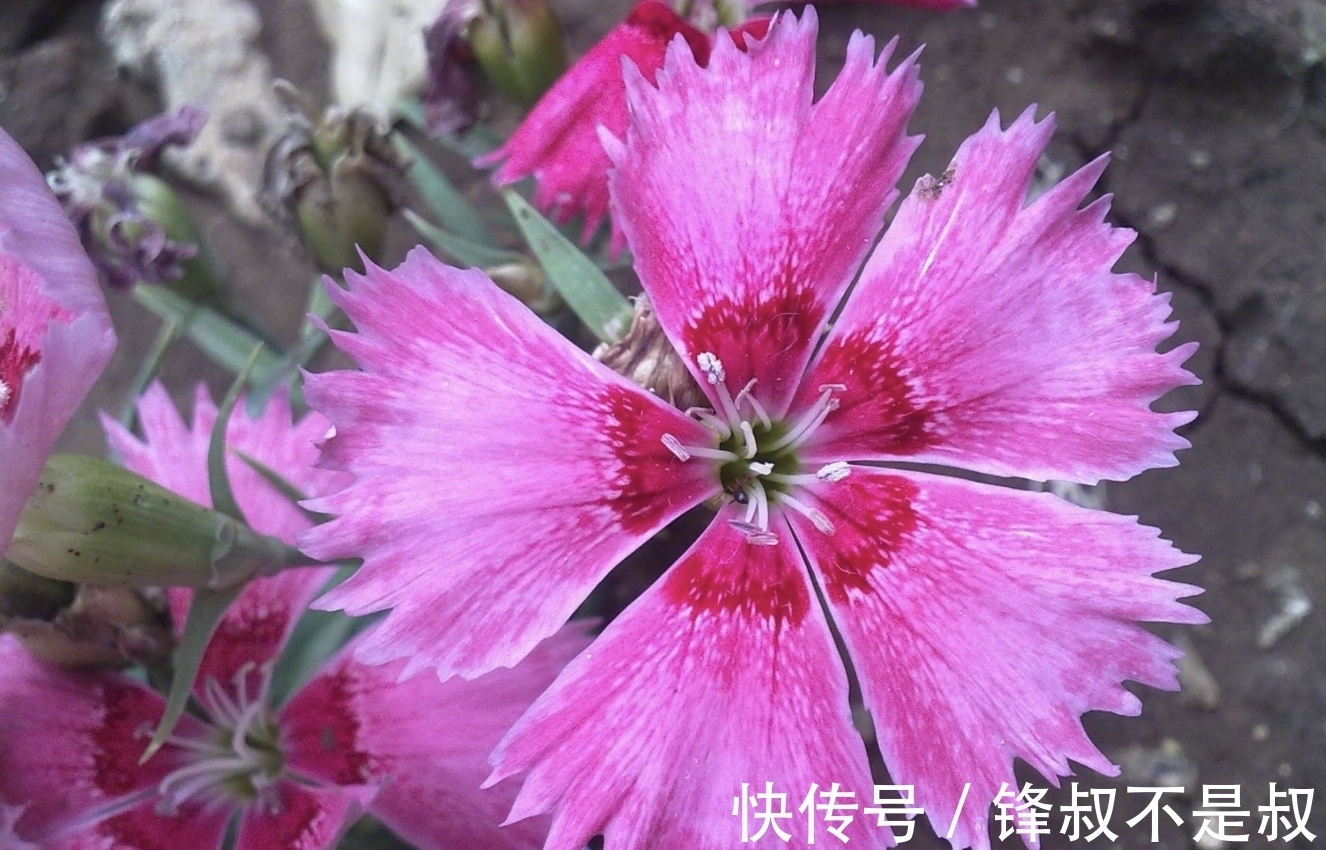 生肖|11月,旧爱转身,百感交集,3生肖有心回头,自难别离,重燃爱火