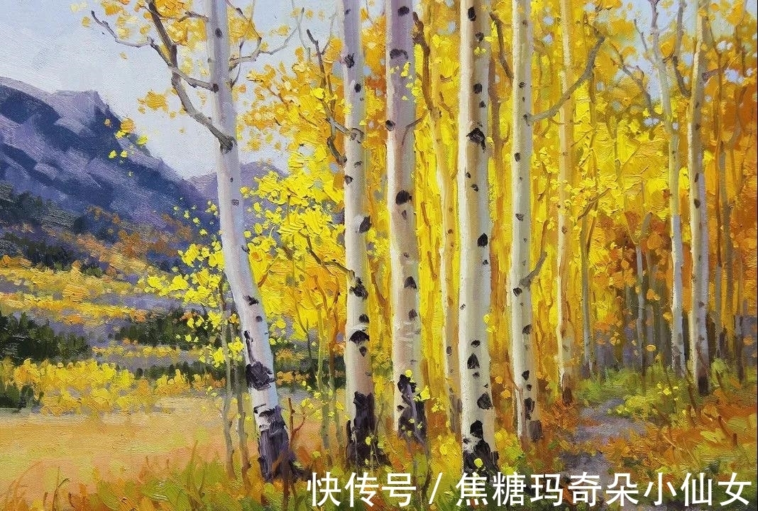 美国肖像协会!白桦林之美