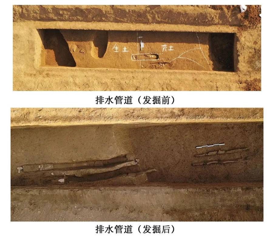 稷下学宫遗址|稷下学宫遗址确定：两千多年前的大学，向我们缓缓打开大门