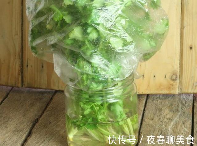 保存香菜有妙招,这3个方法久放不坏,香菜一年买两次就够了